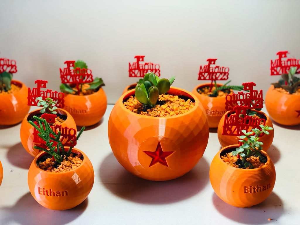 macetas Dragon Ball personalizadas